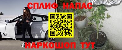 гидра Балахна