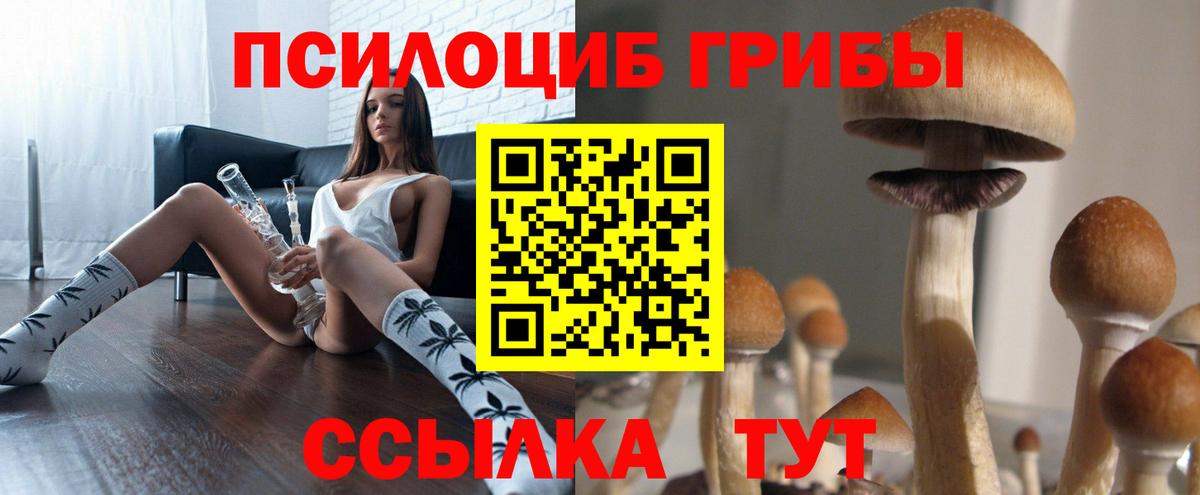 Псилоцибиновые грибы мухоморы  Вход с VPN  Верхняя Пышма 
